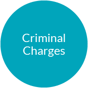 cyber criminal charges