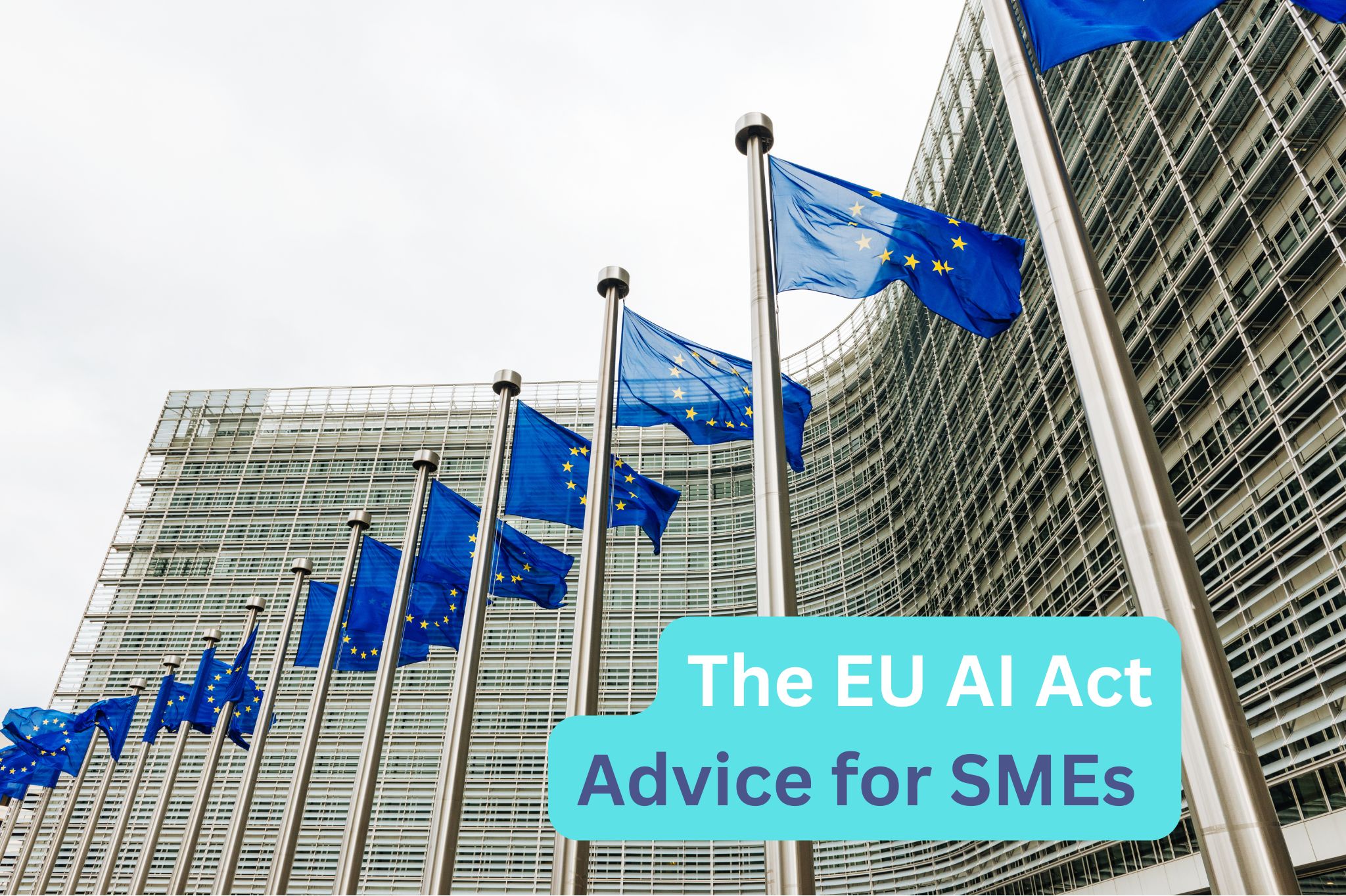 EU AI Act - guidance for SMEs